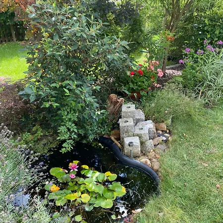 Ausspannen Am Apartment Schwielowsee