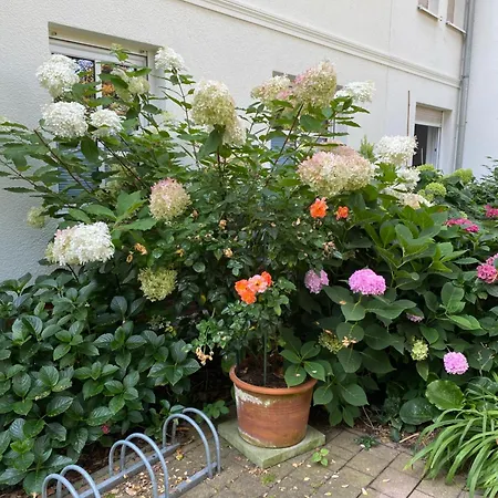 Apartment Ausspannen Am Schwielowsee