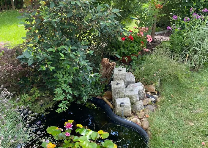 Ausspannen Am Lägenhet Schwielowsee