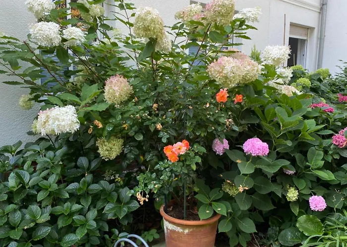 Lägenhet Ausspannen Am Schwielowsee